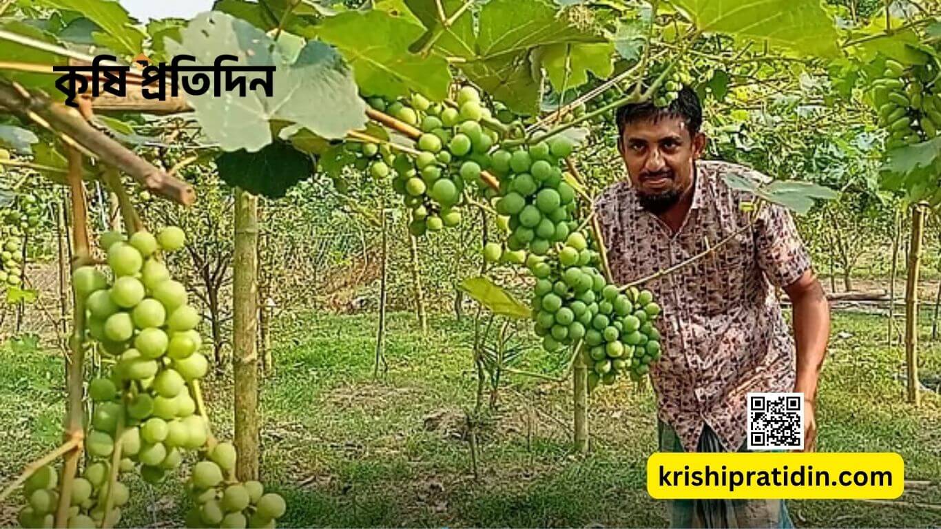 আঙুরের স্বর্গ