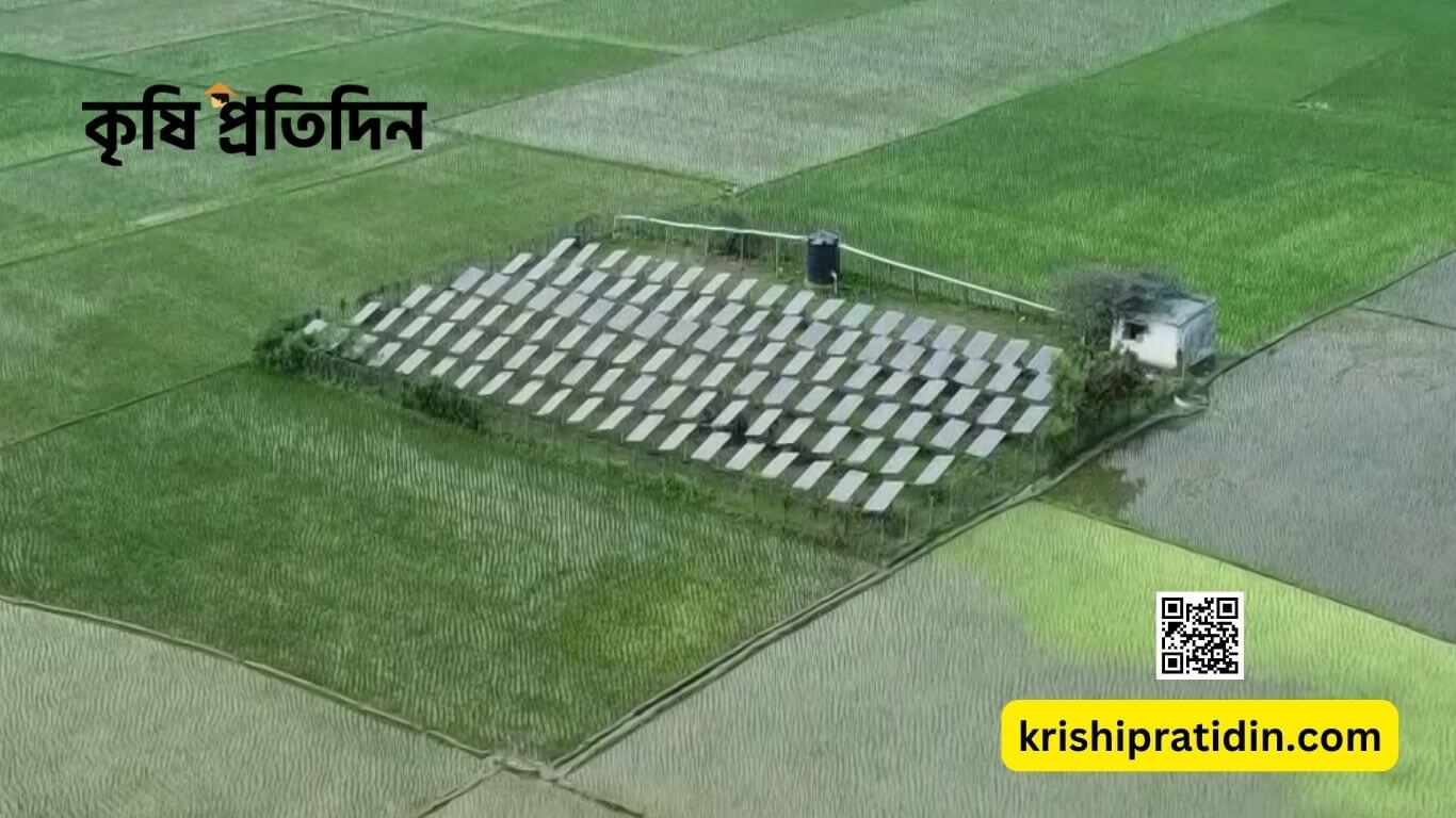 কৃষি প্রযুক্তি