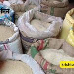 চালের বাজার