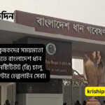 ব্রি’র ২৪ ঘণ্টার হেল্পলাইন