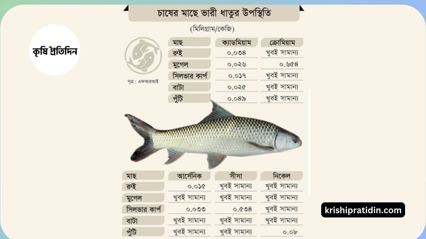 চাষের পাঁচটি মাছ নিয়ে বিশ্লেষণ