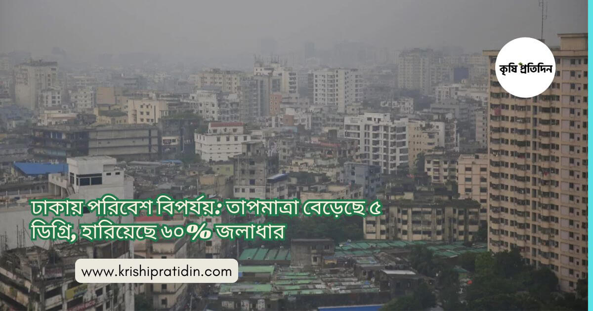 ঢাকার পরিবেশ বিপর্যয়
