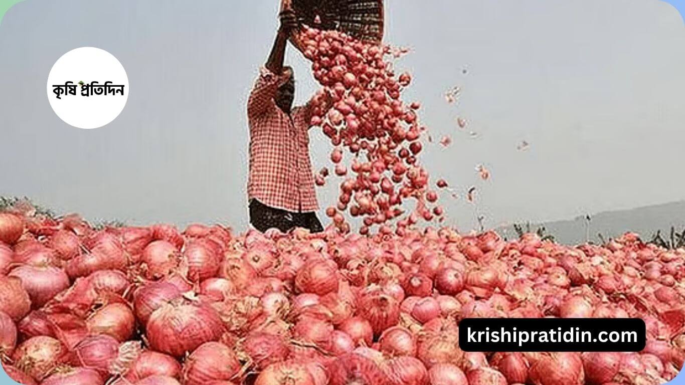 পেঁয়াজ উৎপাদনে বাংলাদেশ তৃতীয়
