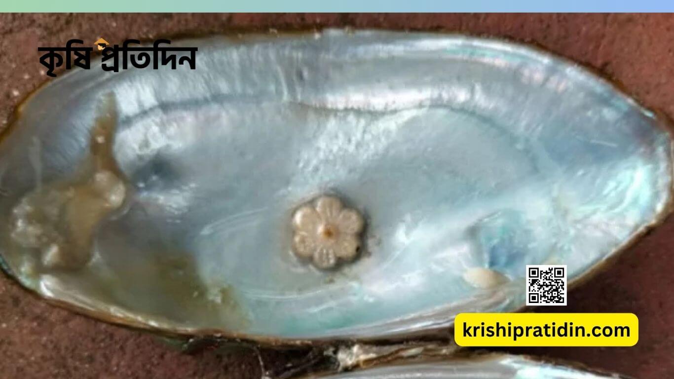 মুক্তা চাষ