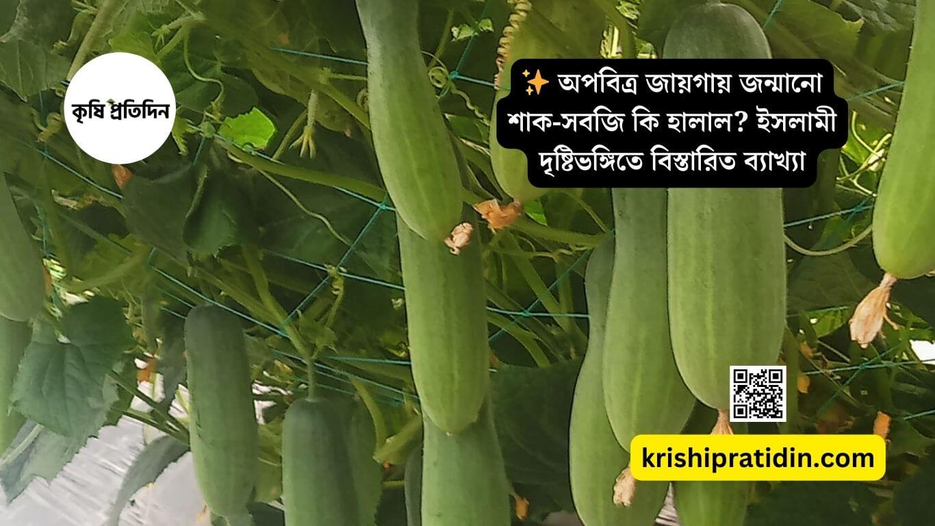 শাক-সবজি কি হালাল