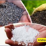 সার আমদানি