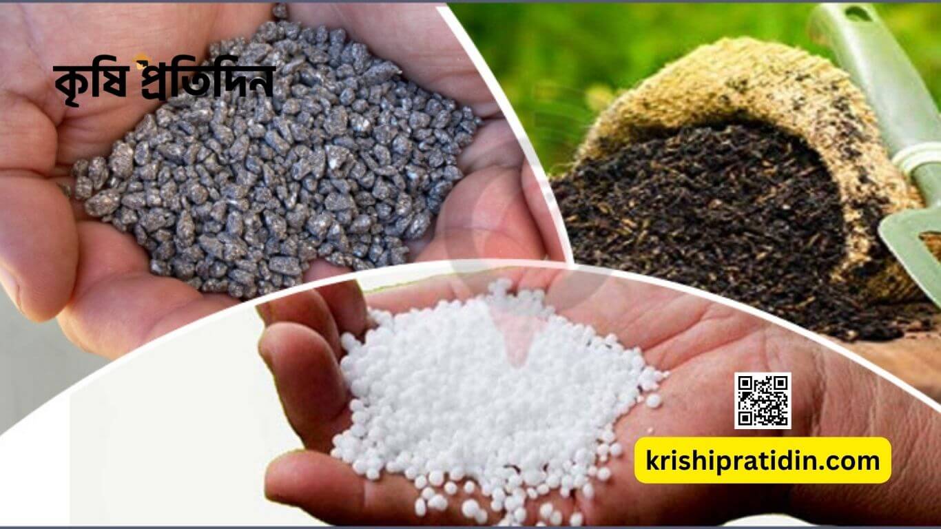 সার আমদানি