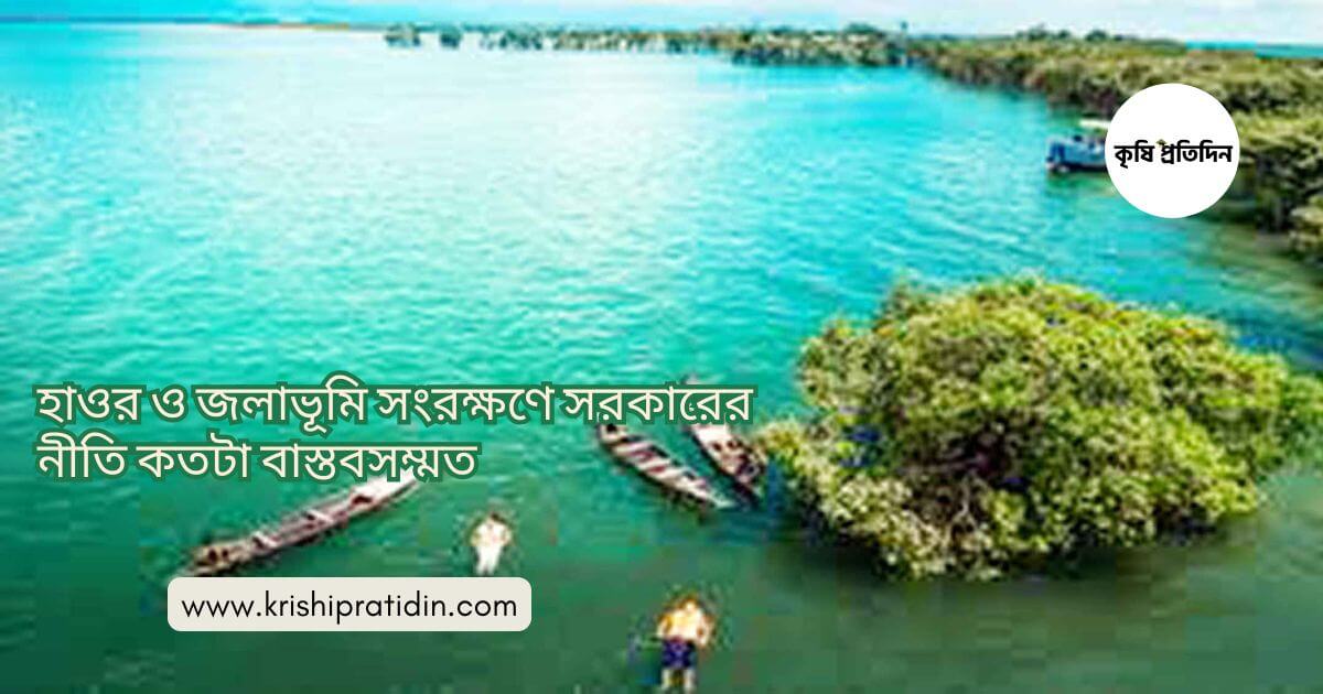 হাওর ও জলাভূমি