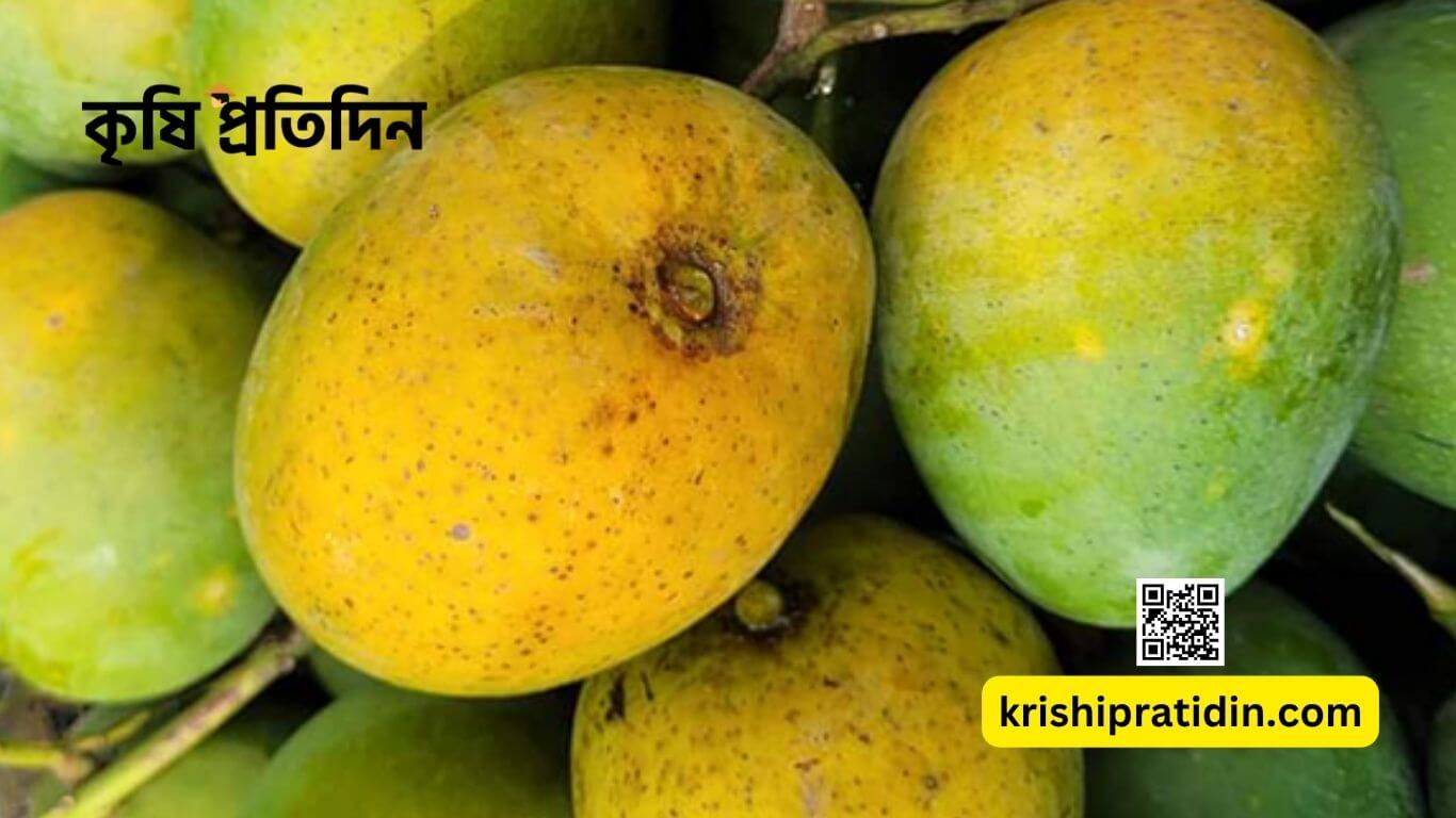 হিমসাগর আম