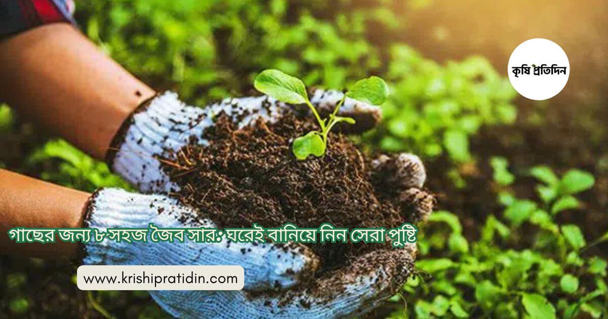 গাছের জন্য জৈব সার