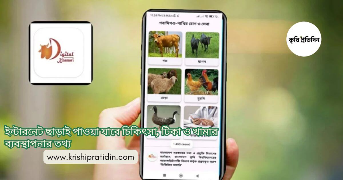 ডিজিটাল খামারি