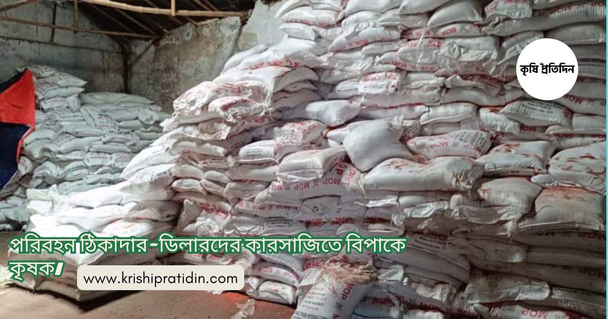 সারের বাজার