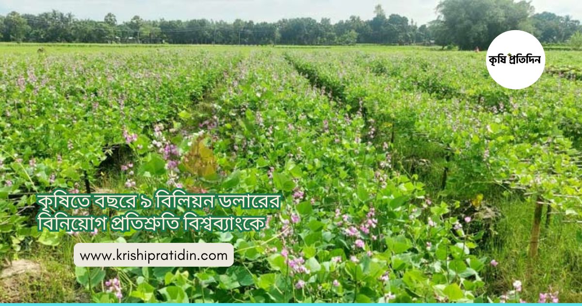 কৃষিতে বিনিয়োগ