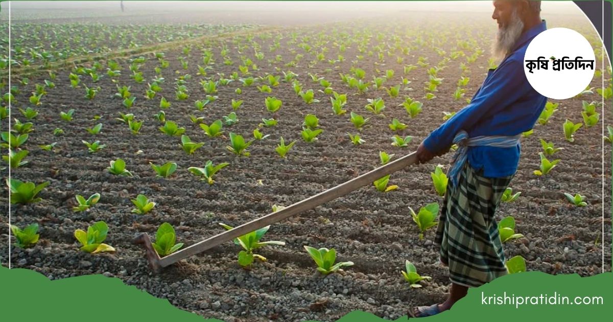 কৃষিতে খেলাপি ঋণের রেকর্ড