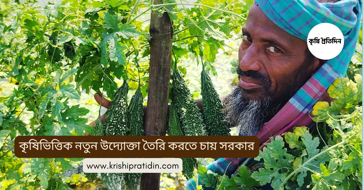 কৃষিভিত্তিক নতুন উদ্যোক্তা তৈরি করতে চায় সরকার