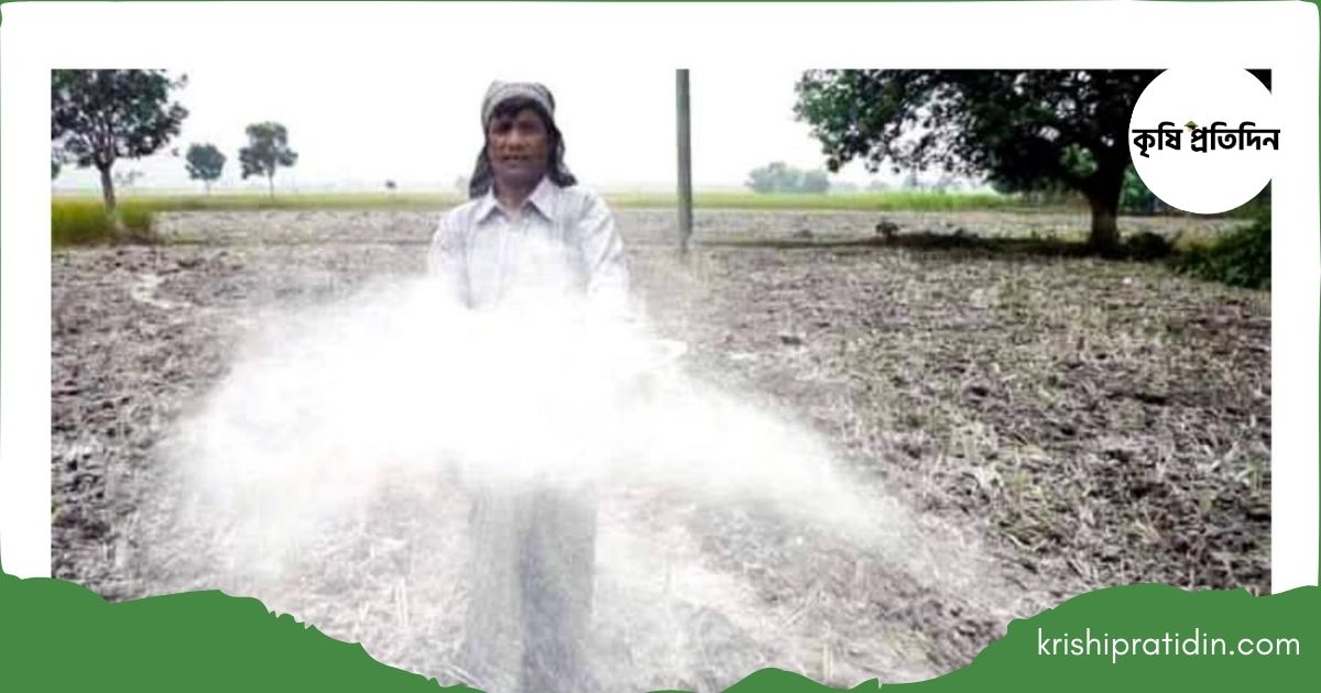 জমিতে ডলোচুন ব্যবহার