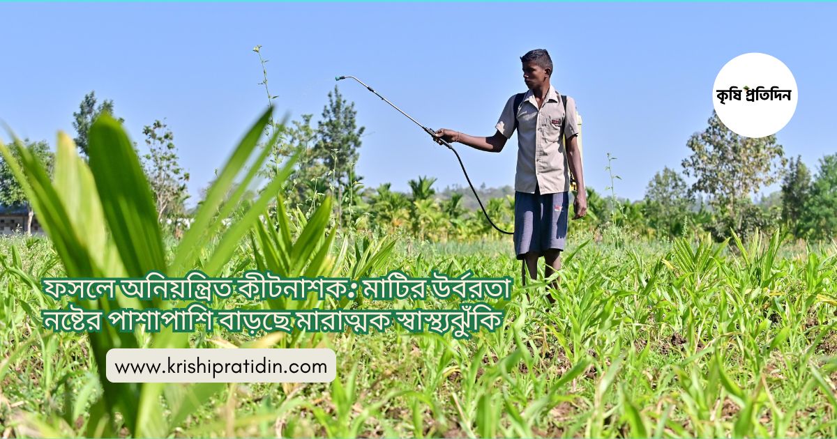 ফসলে অনিয়ন্ত্রিত কীটনাশক