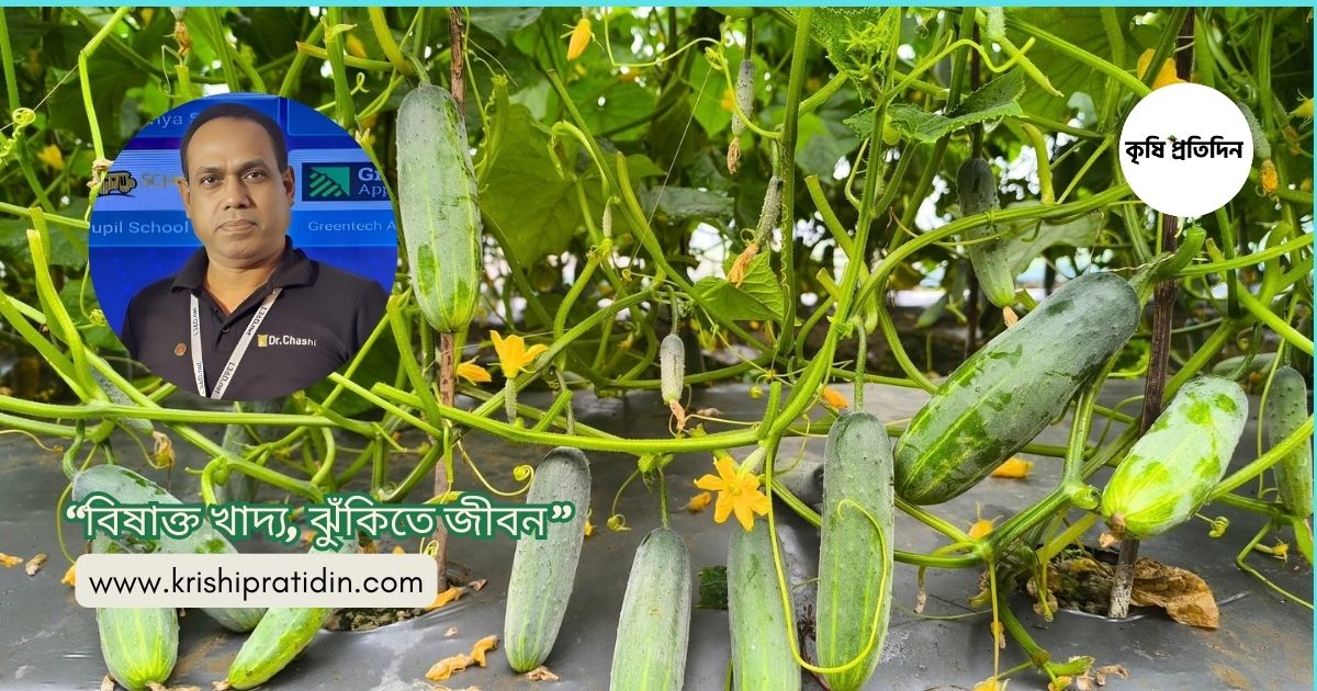  “বিষাক্ত খাদ্য, ঝুঁকিতে জীবন”