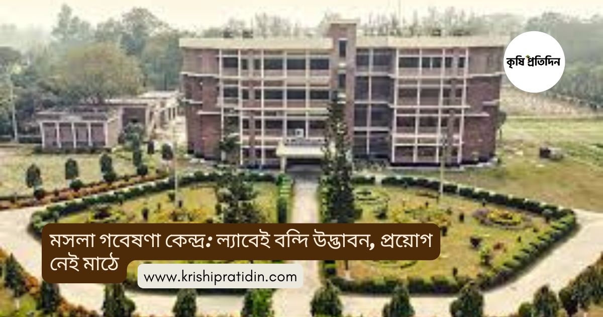 মসলা গবেষণা কেন্দ্র: ল্যাবেই বন্দি উদ্ভাবন, প্রয়োগ নেই মাঠে