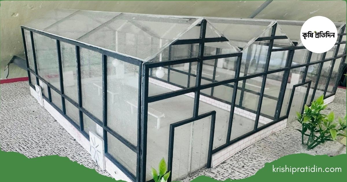 হাই-টেক গ্রিনহাউস