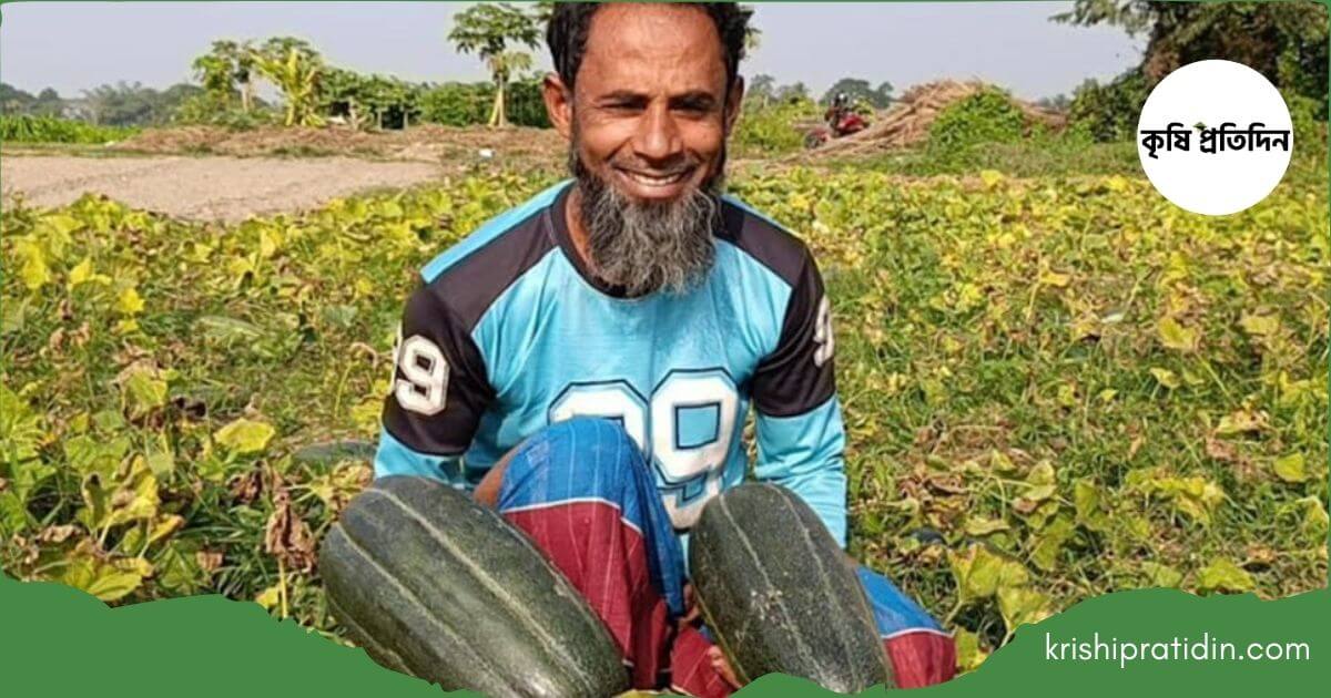 আগাম বাঙ্গি চাষে বাজিমাত