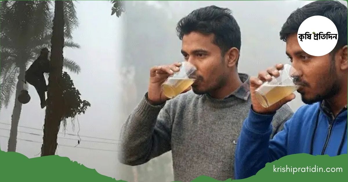 কাঁচা খেজুরের রস