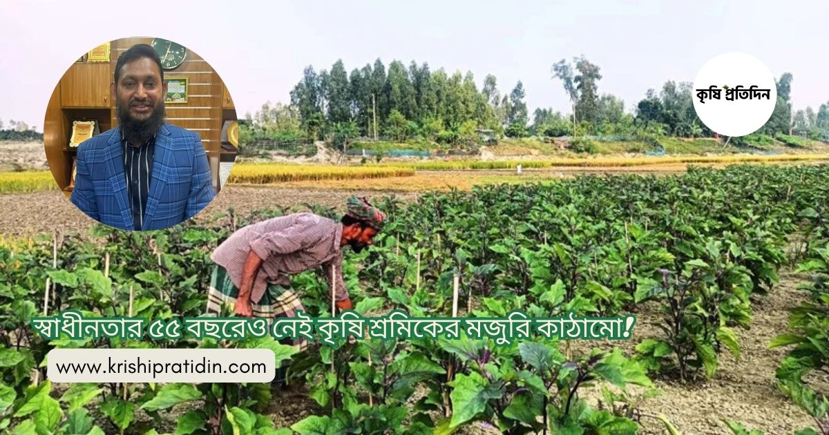 কৃষি শ্রমিকের মজুরি কাঠামো