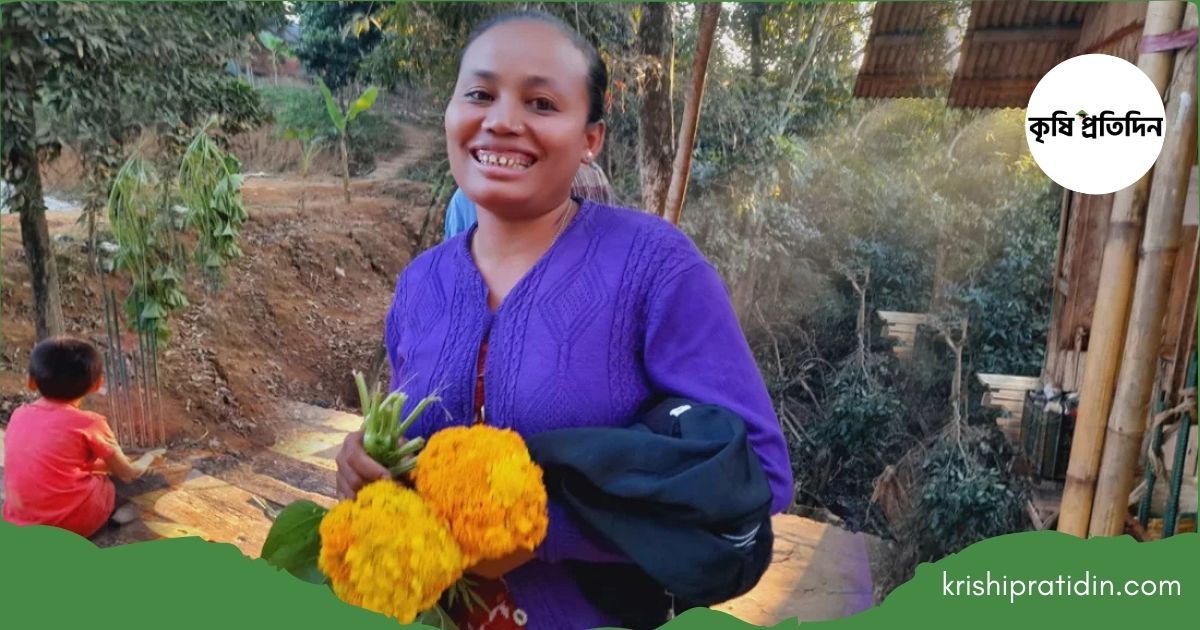 গাঁদা ফুল চাষ