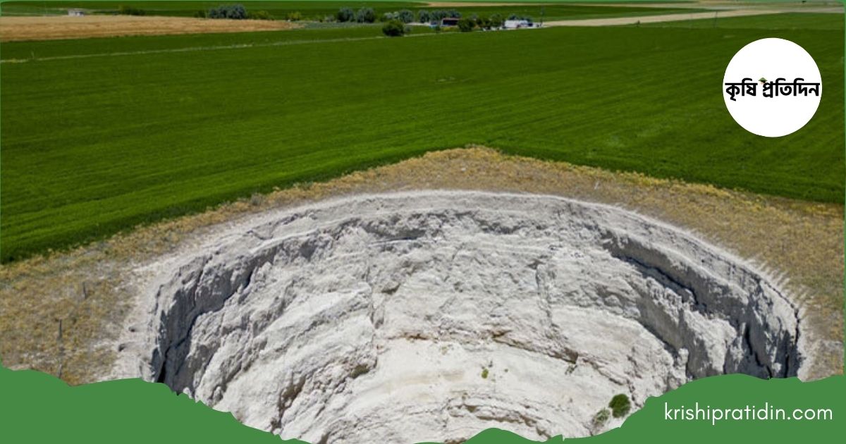 তুরস্কের কৃষিজমি