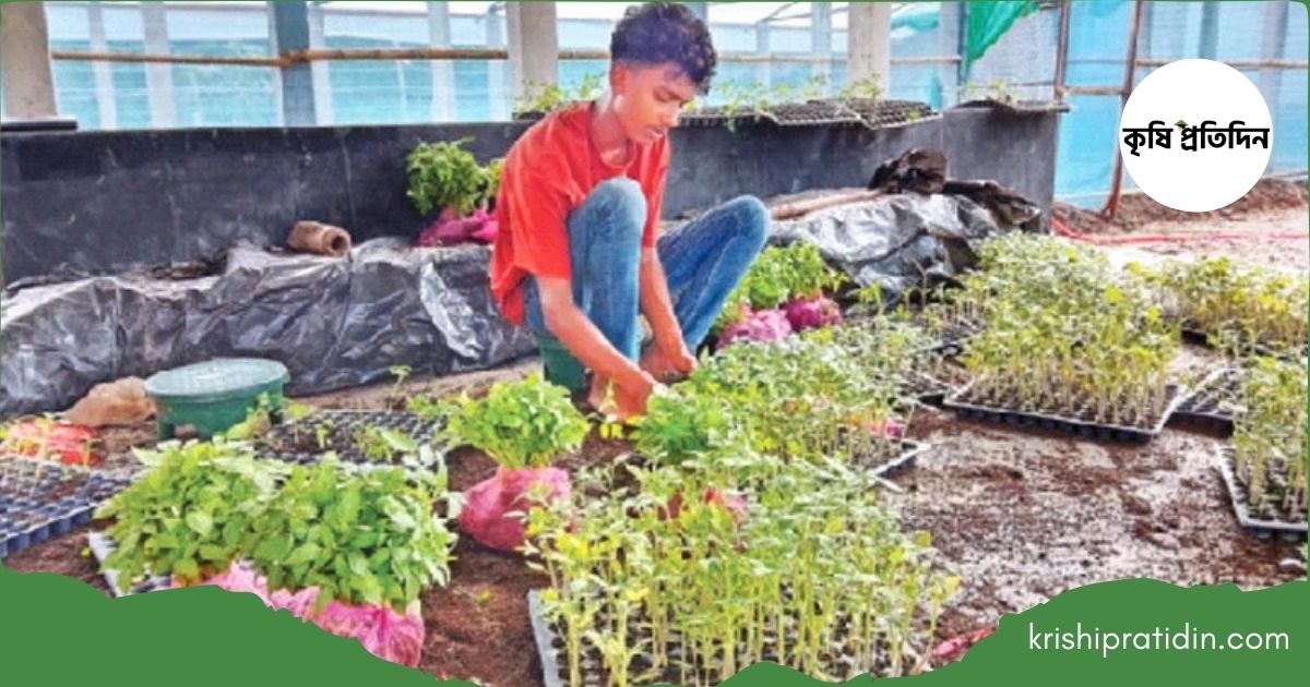 ভিন্নধর্মী সবজি নার্সারি