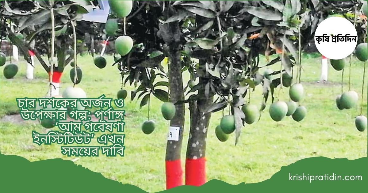 আম গবেষণার ৪০ বছর