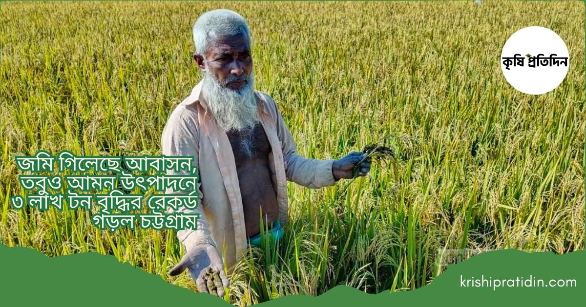 চট্টগ্রাম অঞ্চলে কমছে আবাদি জমি