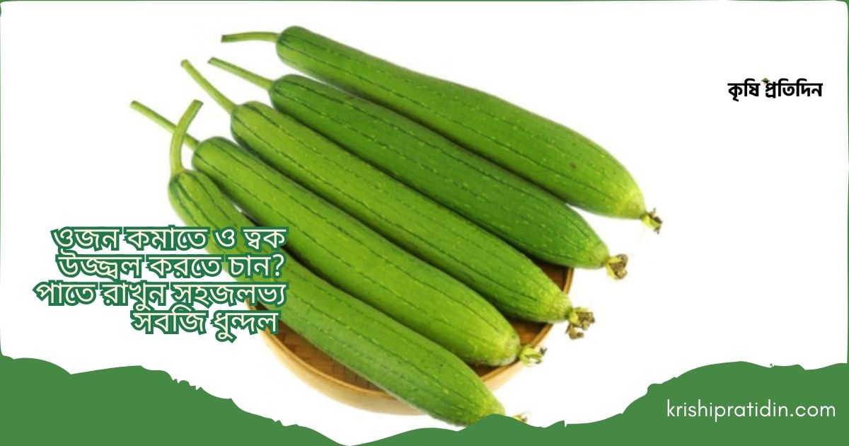 ধুন্দল কেন খাবেন