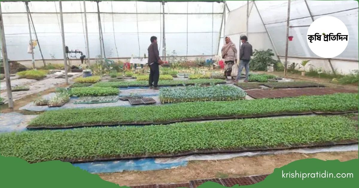 ‘পলিনেট হাউজ’ বিপ্লব