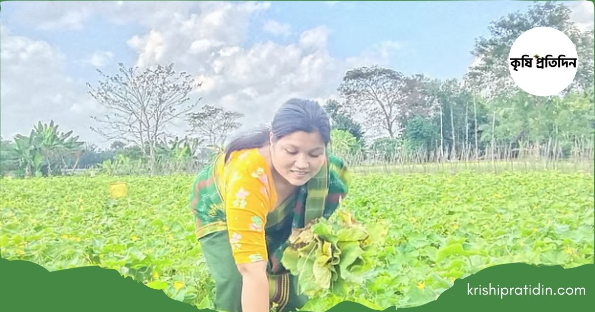 বিষমুক্ত সবজি