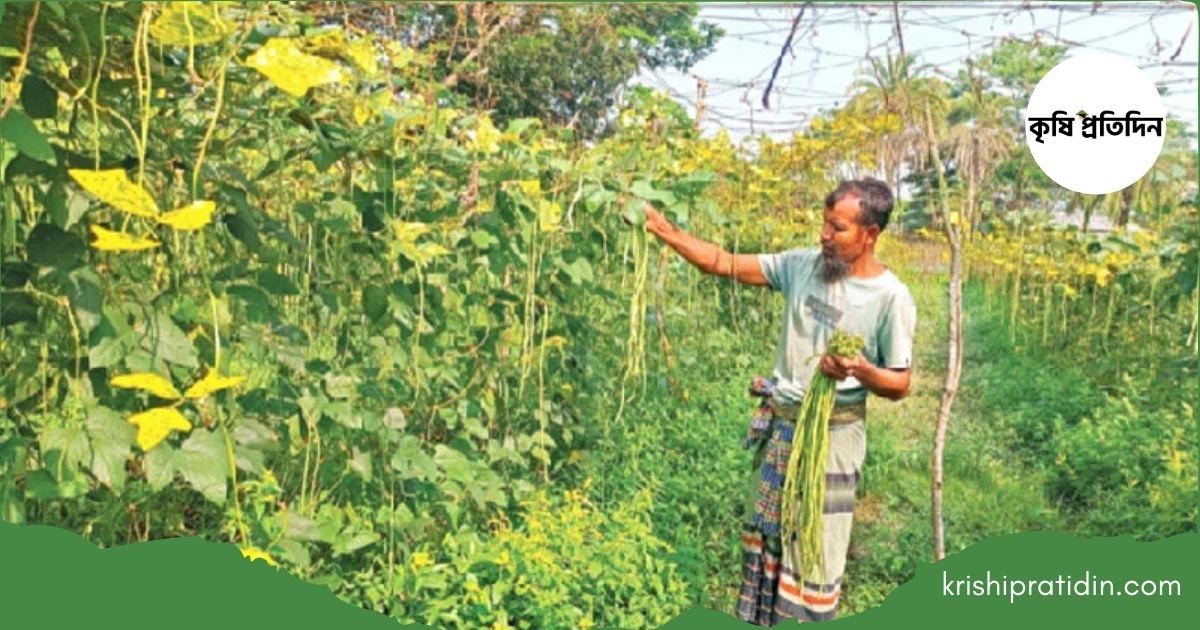 বিষমুক্ত সবজির গ্রাম