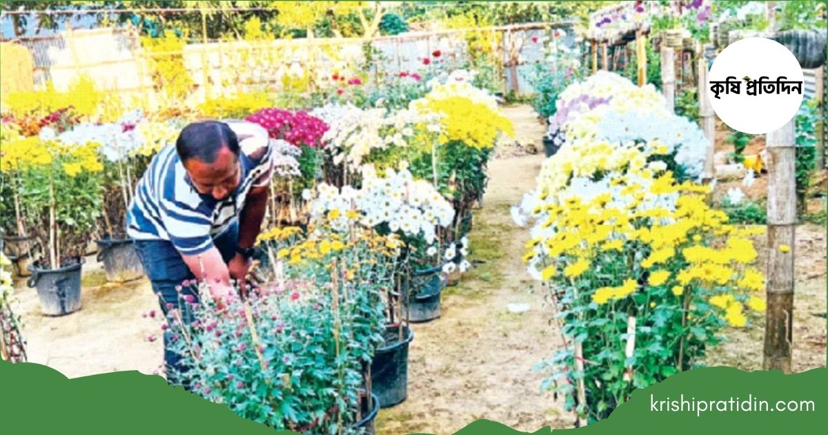 শিক্ষক দম্পতির বাগানে