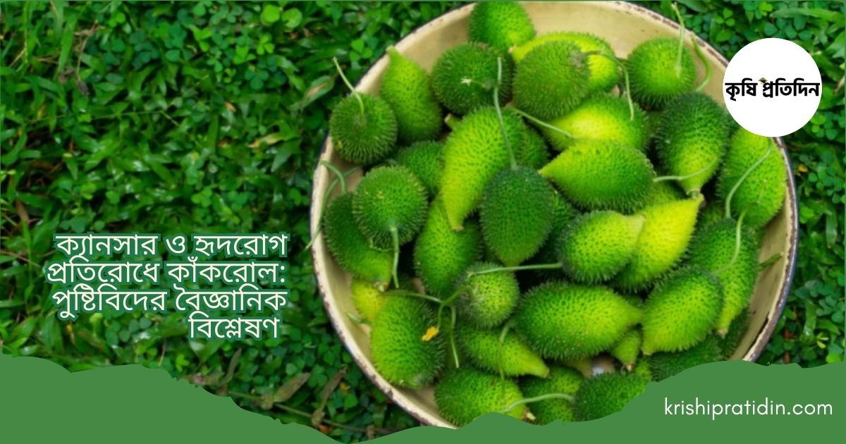 কাঁকরোল কেন খাবেন