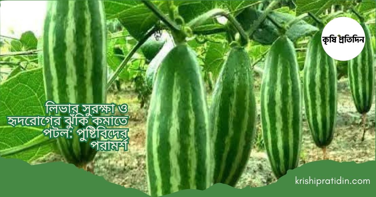 পটলের ১০টি জাদুকরী উপকারিতা