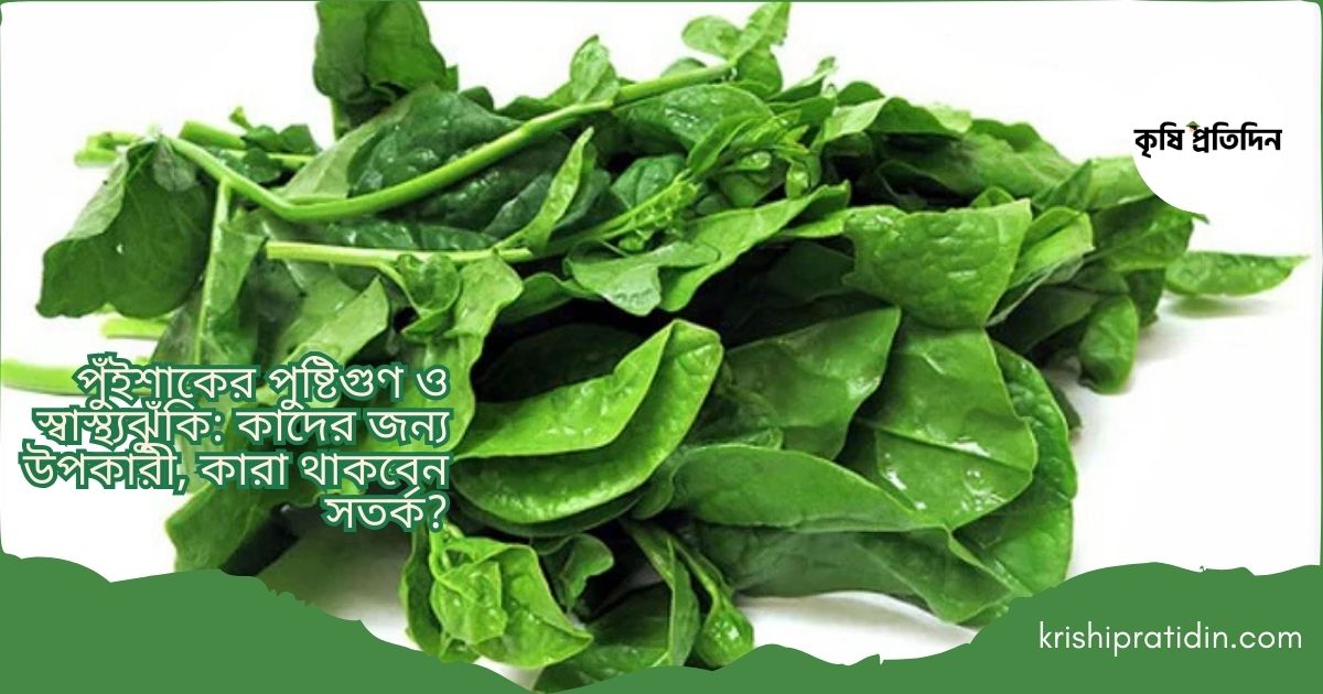 পুঁইশাক